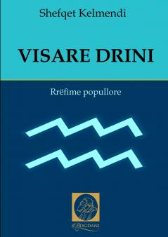 VISARE DRINI