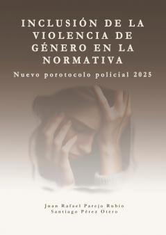 Inclusión de la violencia de género en la normativa.