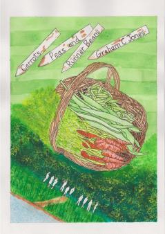 Carrots Peas and Runner Beans