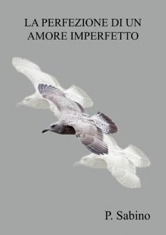 La perfezione di un amore imperfetto