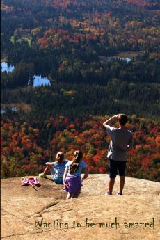 Wanting to be much amazed