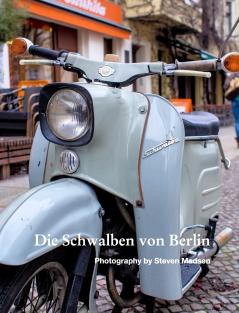 Die Schwalben von Berlin