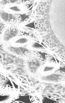 LETTERS To MYSELF JOURNAL - Black and White Wedding Lace