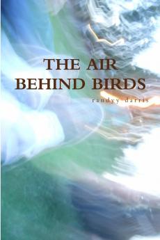 The Air Behind Birds