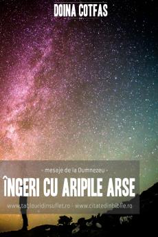 Îngeri cu aripi arse (mesaje de la Dumnezeu)