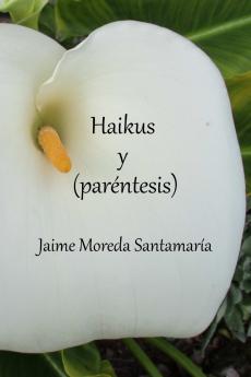 Haikus y (paréntesis)