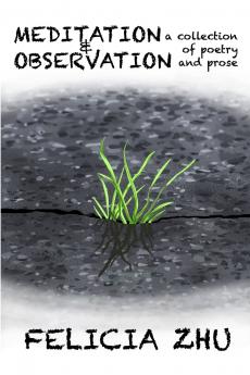 Meditation and Observation