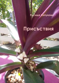 ��������������������