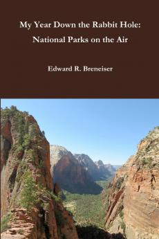 My Year Down the Rabbit Hole