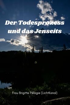 Der Todesprozess und das Jenseits (Paperback)