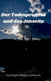 Der Todesprozess und das Jenseits (Hardcover)