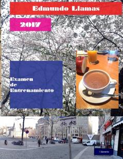 Examen de Entrenamiento 2017