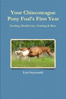 Your Chincoteague Pony Foal's First Year