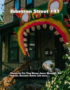 Ibbetson Street #41