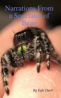 Narrations From a Spectator of Bean