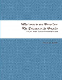 What to do in the Meantime