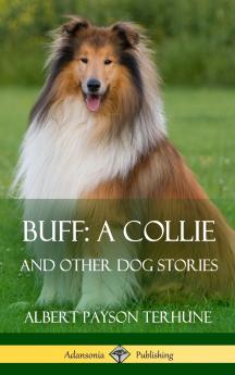 Buff; A Collie