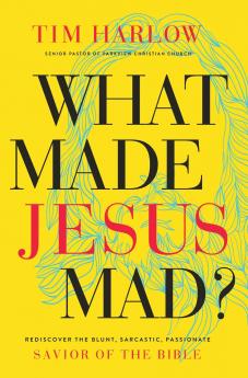 What Made Jesus Mad?* | Softcover