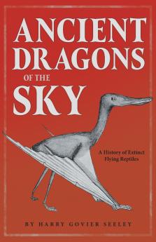 Ancient Dragons of the Sky
