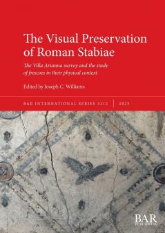 The Visual Preservation of Roman Stabiae