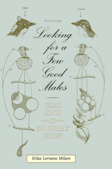 Looking for a Few Good Males