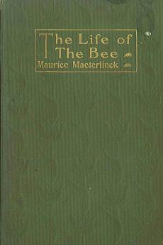 Life of the Bee