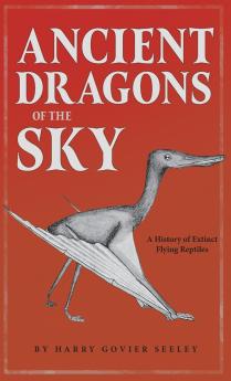 Ancient Dragons of the Sky