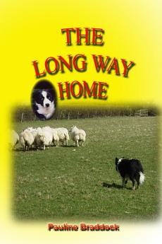 THE LONG WAY HOME