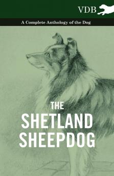 The Shetland Sheepdog - A Complete Anthology of the Dog