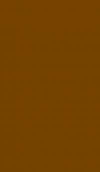 Ce truc marron au mur