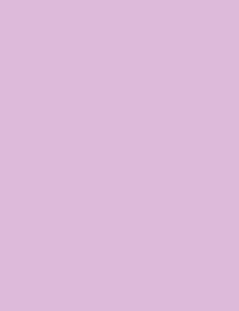 OK Soft Purple with Green Studio Note Book