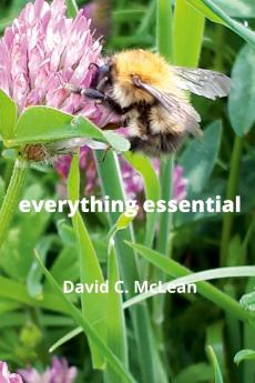 everything essential