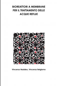BIOREATTORI A MEMBRANE PER IL TRATTAMENTO DELLE ACQUE REFLUE