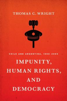 Impunity Human Rights and Democracy