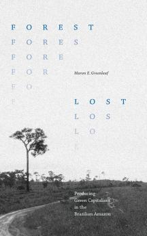 Forest Lost