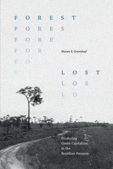 Forest Lost