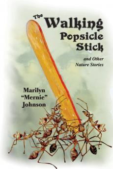 The Walking Popsicle Stick