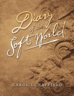 Diary of the Soft World
