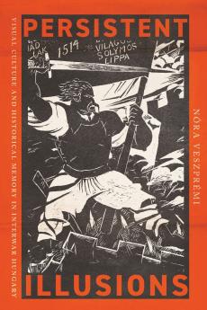 Persistent Illusions