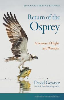 Return of the Osprey