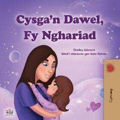 Sweet Dreams My Love (Welsh Children's Book)