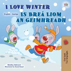 I Love Winter (English Irish Bilingual Children's Book)