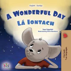 A Wonderful Day (English Irish Bilingual Children's Book)