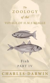 Fish - Part IV -  The Zoology of the Voyage of H.M.S Beagle