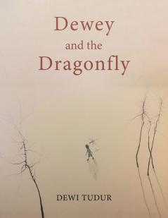 Dewey and the Dragonfly