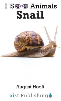 Snail