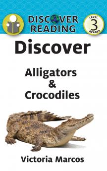 Discover Alligators & Crocodiles