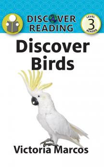 Discover Birds