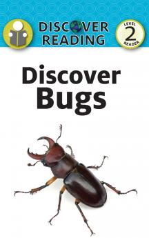 Discover Bugs