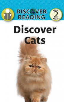 Discover Cats